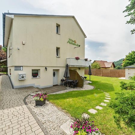 Willa Aleksandra - Apartamenty Мєндзибродзє-Живєцьке Екстер'єр фото