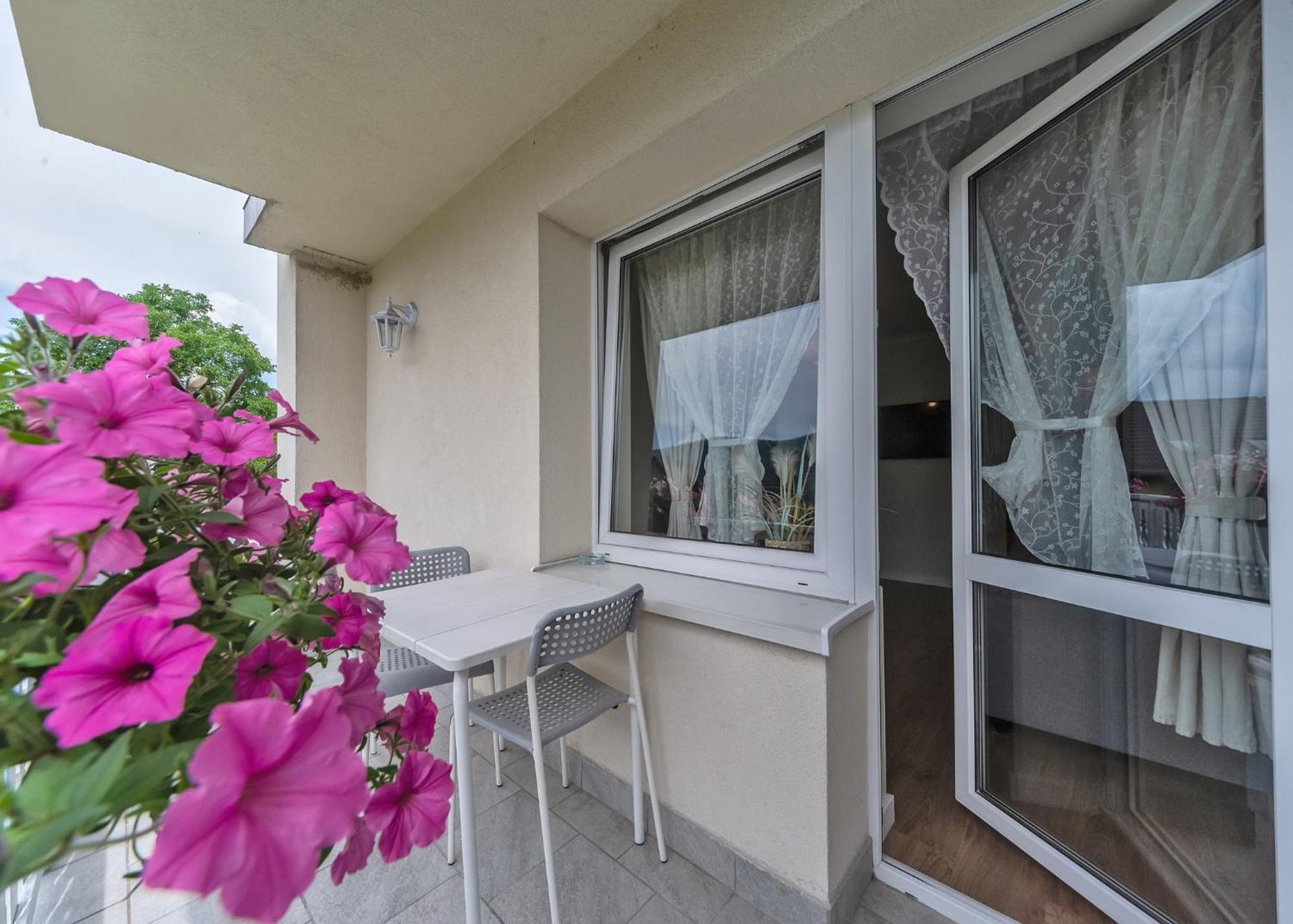 Willa Aleksandra - Apartamenty Мєндзибродзє-Живєцьке Екстер'єр фото